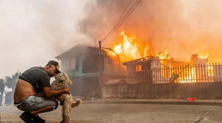 Chile arde: incendios dejan 19 muertos